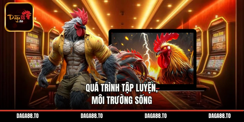 Quá trình tập luyện, môi trường sống