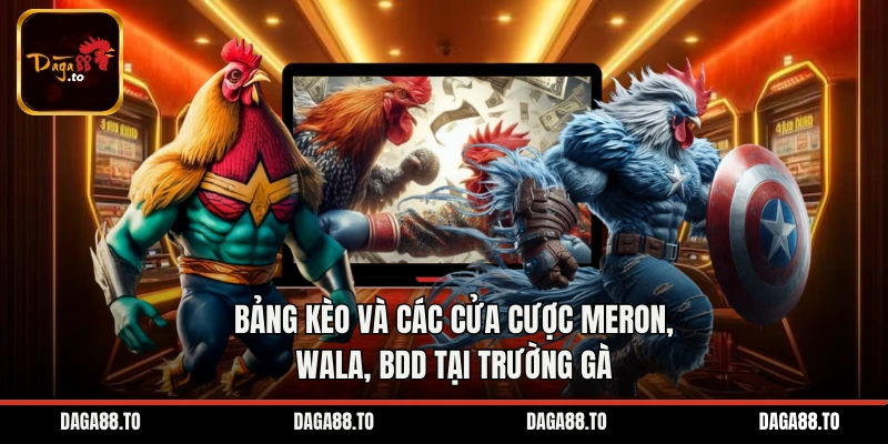 Bảng kèo và các cửa cược Meron, Wala, BDD tại trường gà