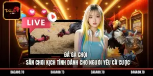 Đá Gà Chọi – Sân Chơi Kịch Tính Dành Cho Người Yêu Cá Cược