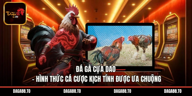 Đá Gà Cựa Dao – Hình Thức Cá Cược Kịch Tính Được Ưa Chuộng