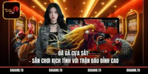 Đá Gà Cựa Sắt – Sân Chơi Kịch Tính Với Trận Đấu Đỉnh Cao