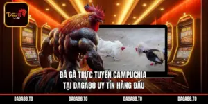 Đá Gà Trực Tuyến Campuchia Tại Daga88 Uy Tín Hàng Đầu