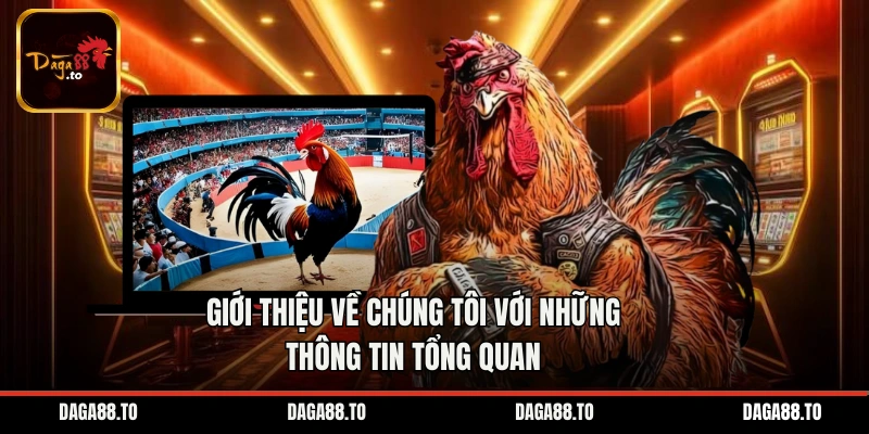 Giới thiệu về chúng tôi với những thông tin tổng quan