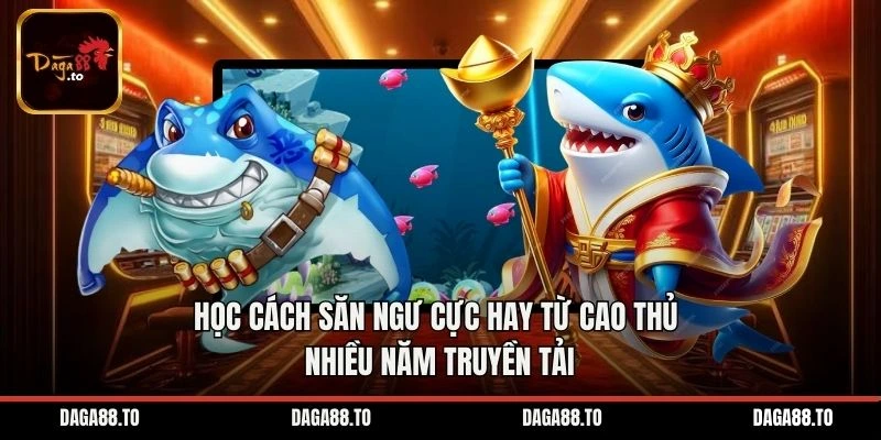 Học cách săn ngư cực hay từ cao thủ nhiều năm truyền tải