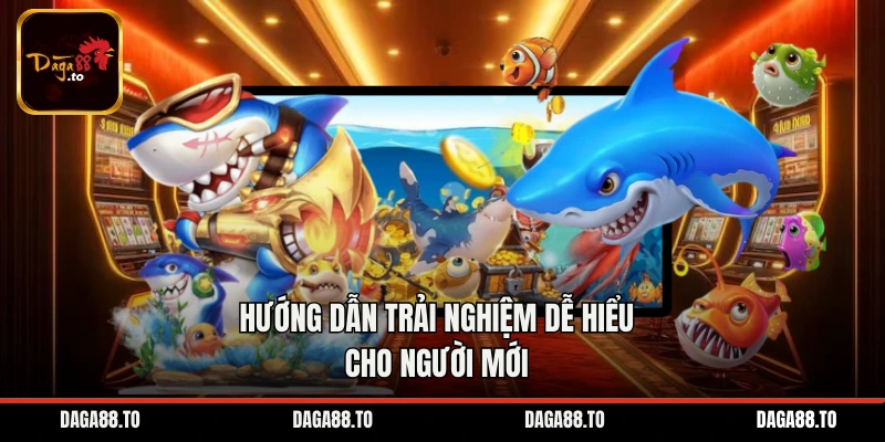 Hướng dẫn trải nghiệm dễ hiểu cho người mới
