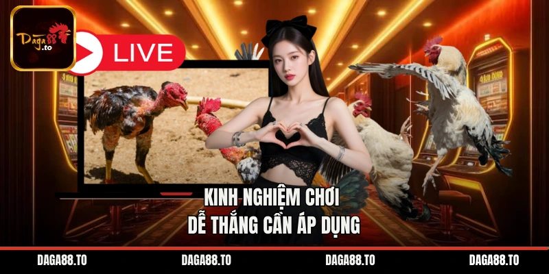 Kinh nghiệm chơi dễ thắng cần áp dụng