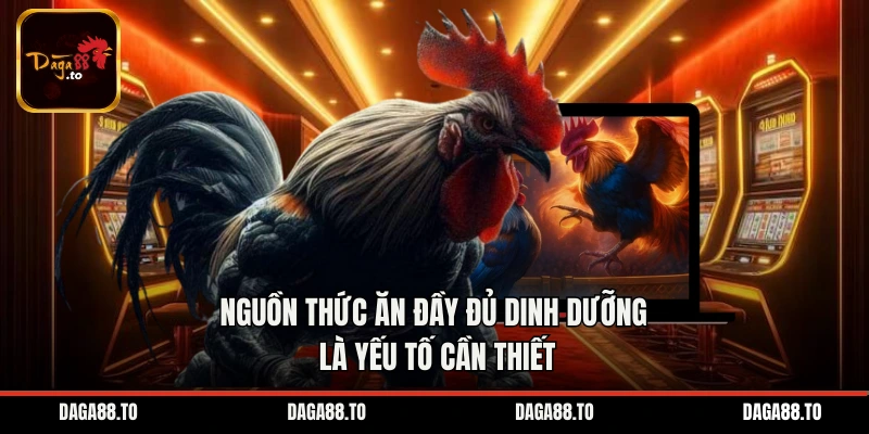 Nguồn thức ăn đầy đủ dinh dưỡng rất cần thiết