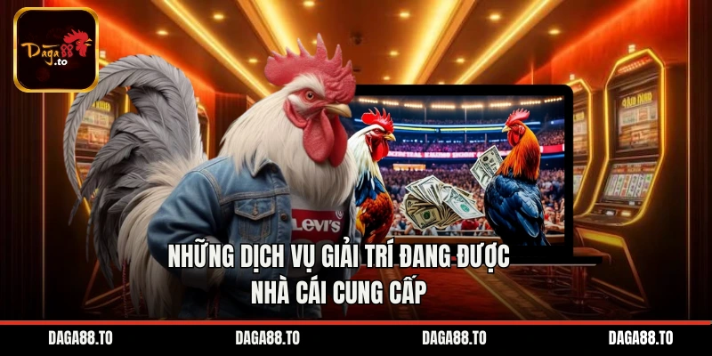 Những dịch vụ giải trí đang được nhà cái cung cấp