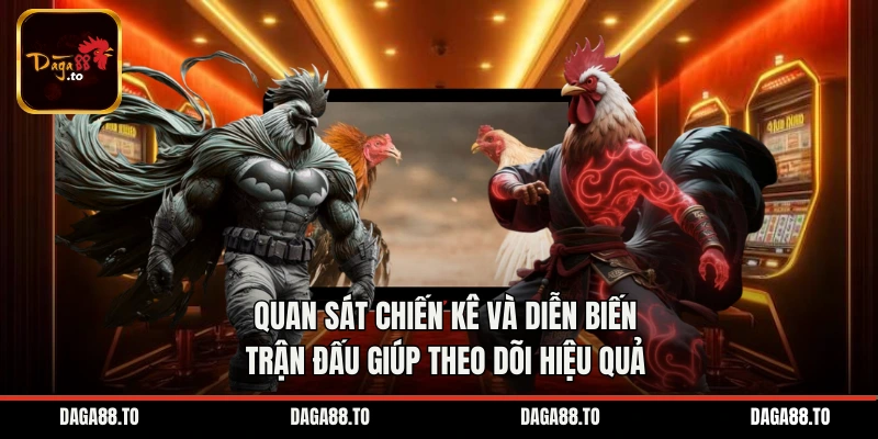 Quan sát chiến kê và diễn biến trận đấu giúp theo dõi hiệu quả