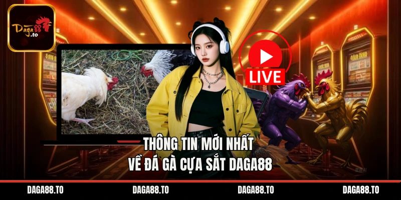 Thông tin mới nhất về đá gà cựa sắt Daga88