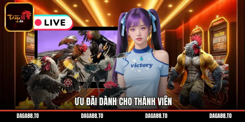 Ưu đãi dành cho thành viên